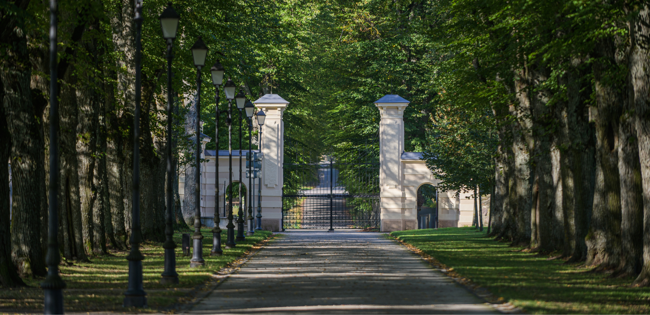 Planuoti apsilankymą