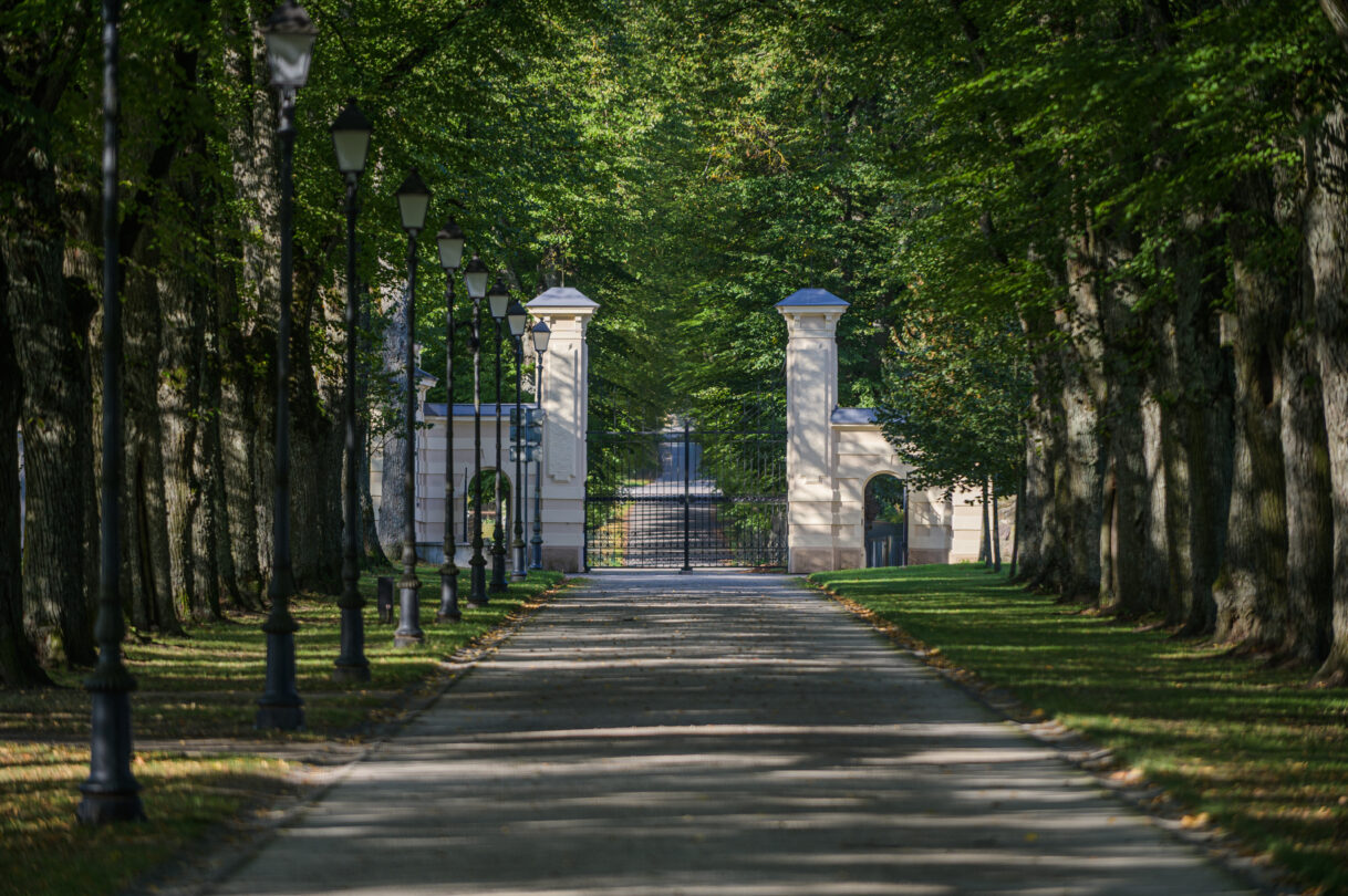 Vakarų vartai, 2025 m., M. Kundrotas