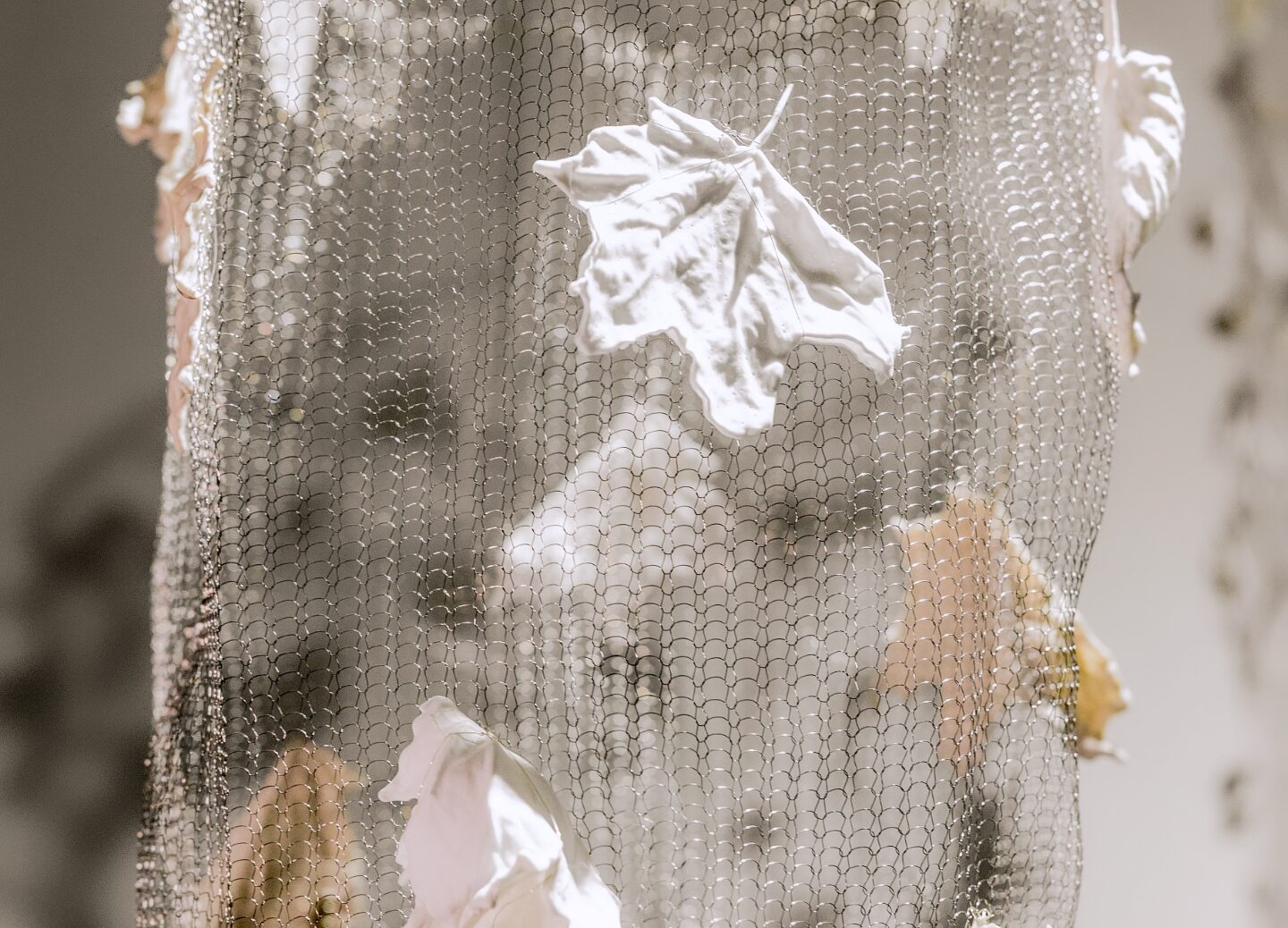 Biofilija, arba rėdos ratas