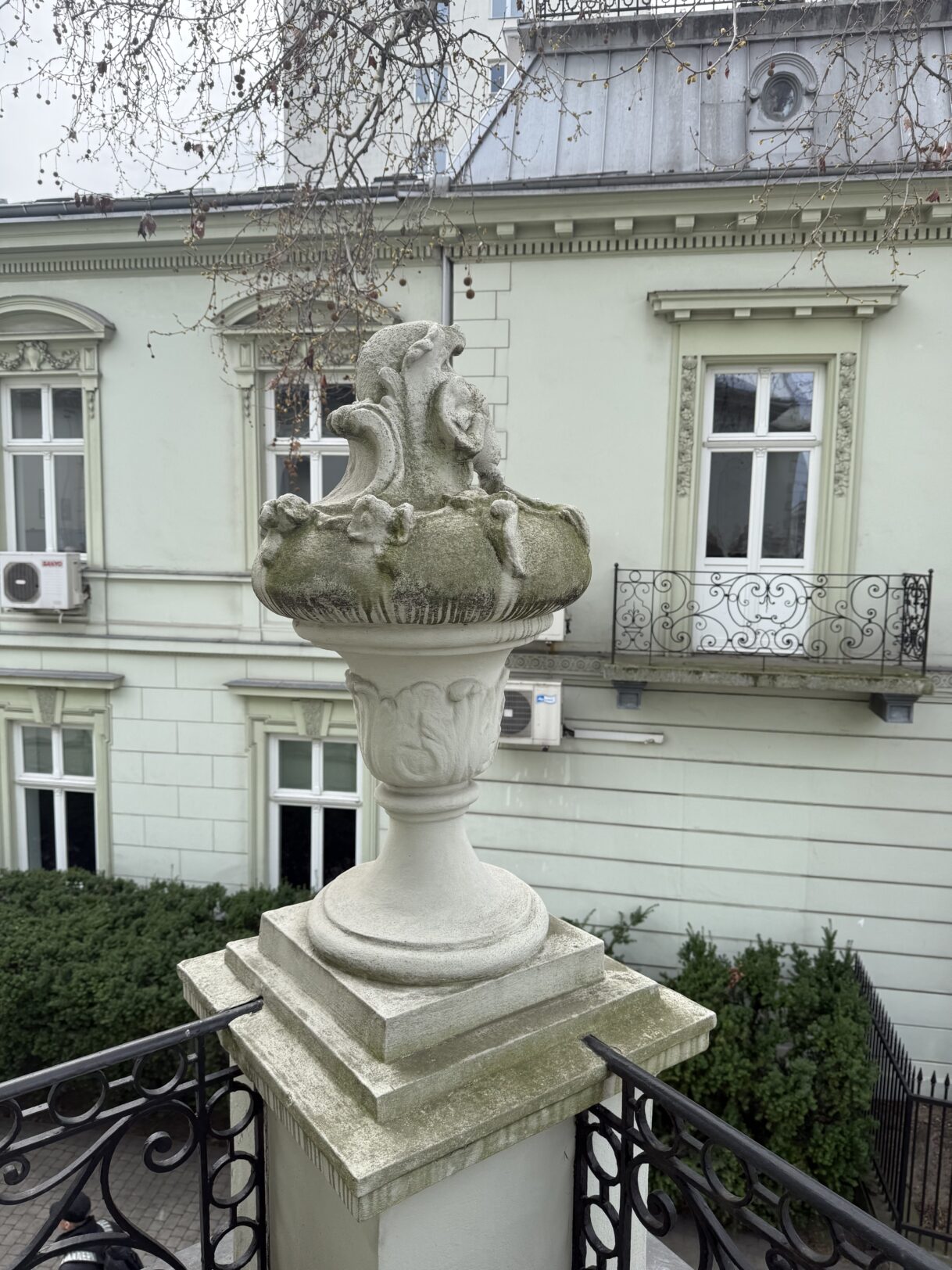 Lietuvos Respublikos ambasada ir artišokas